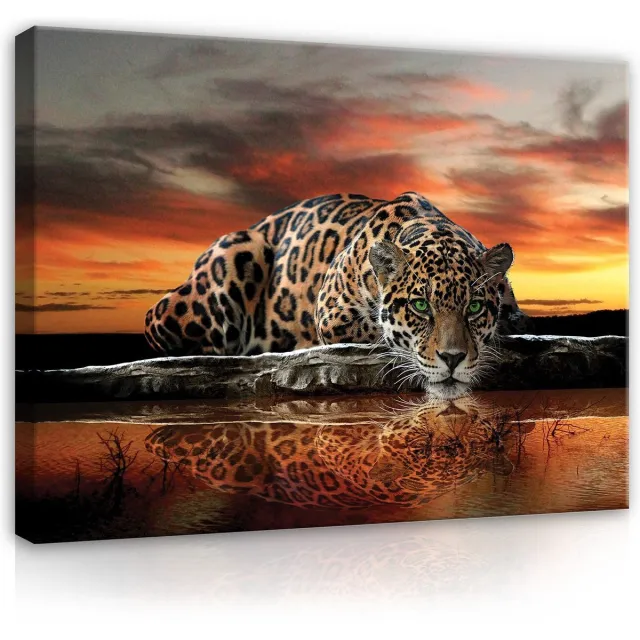 Canvas Schilderij - Jaguar - Zonsondergang - Cheeta - Dieren - Lucht - Wild - Natuur - Afrika - Schilderij Woonkamer - Schilderijen op canvas - Inclusief Frame - 80x60cm (LxB) Jaguar - goud
