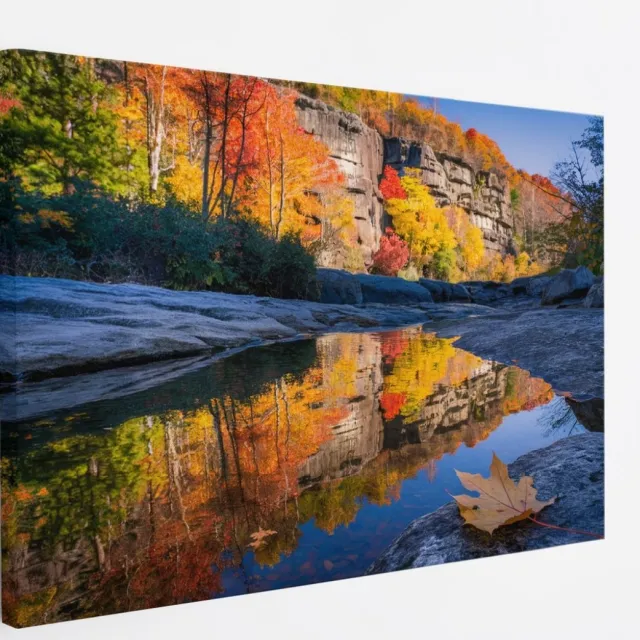 Saammp Canvas Schilderij - Blad op steen - Landschap - Natuur - 70x50 - Foto op canvas - Wanddecoratie - Muurdecoratie Woonkamer - Slaapkamer decoratie - Canvas Print Multicolor