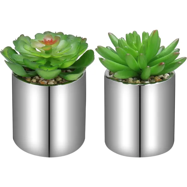 Briful Set van 2 kunstplanten, vetplant, kunstmatige kamerplant, decoratieve plastic planten in keramische pot, decoratie voor badkamer, woonkamer, tafel, huis, balkon, kantoor Grijs