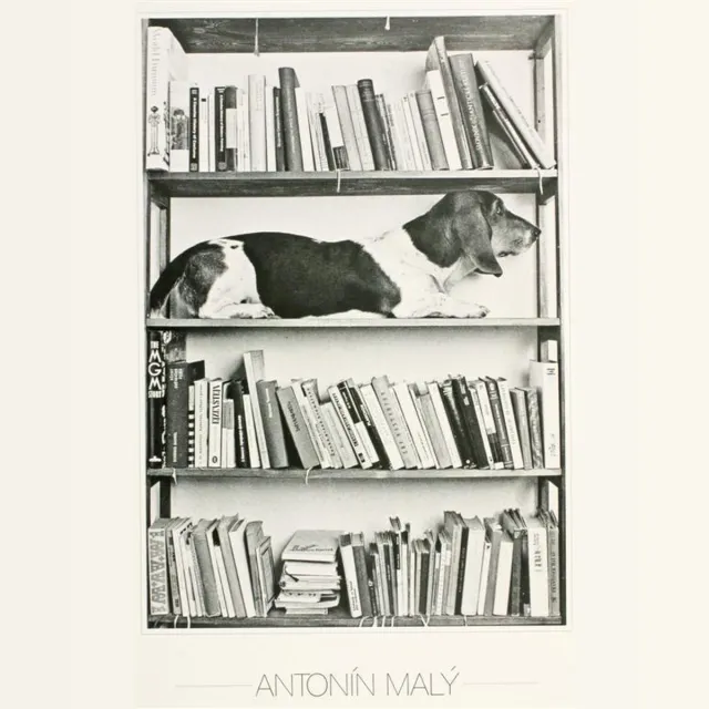 Catch Projecten Poster - Eda - Antonin Maly - Zwart/Wit - Fotografie - Jaren 80