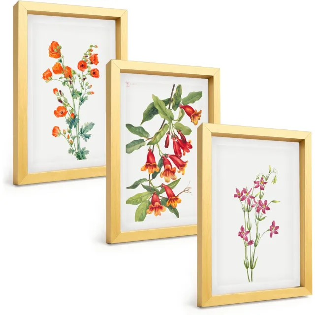 TULUP 4-Delige Schilderij Set - Vintage retro bloemenschilderij - 20 x 30 cm - Muurdecoratie - Wanddecoratie - Slaapkamer - Decoratieve Schilderijen Gouden lijst