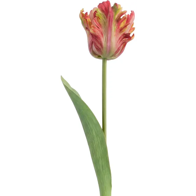 Clayre & Eef Kunstbloem Oranje Kunststof