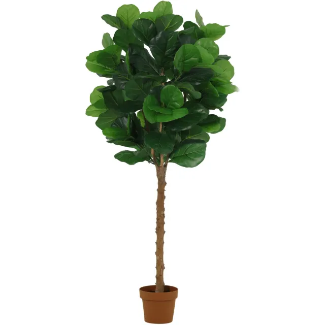 Florafy Kunstplant Ficus Lyrata 160cm - Kunstplanten voor binnen - Onderhoudsvrij Groen