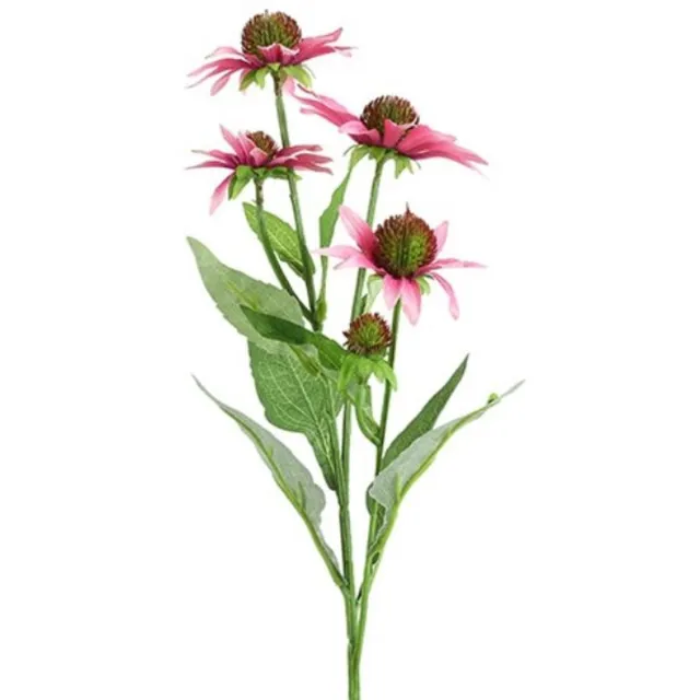 Countryfield Echinacea Roze