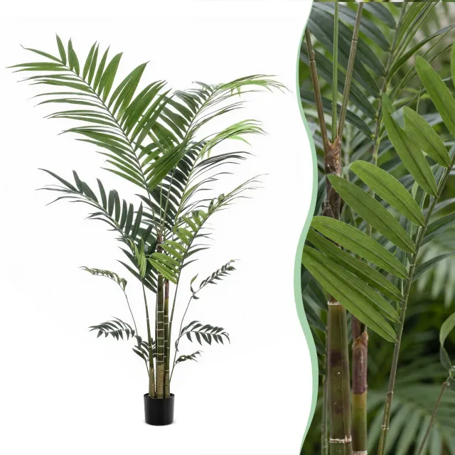 Green Boutiq Kunstplant - Kentia -Kentiapalm - 210cm Bruin