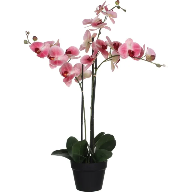 HTT Decorations Kunstplant Orchidee / Phalaenopsis 3-tak zachtroze H75cm - HTT Decorations kunstplanten
