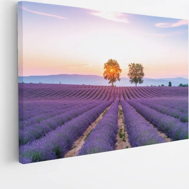 Saammp Canvas Schilderij - Lavendelveld met de zon tussen de bomen - Natuur - Landschap - 70x50 - Foto op canvas - Wanddecoratie - Muurdecoratie Woonkamer - Slaapkamer decoratie - Canvas Print Multicolor