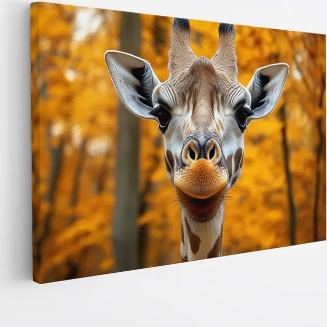 Saammp Canvas Schilderij - Portret - Giraffe - Natuur - Dieren - 60x40 - Foto op canvas - Wanddecoratie - Muurdecoratie Woonkamer - Slaapkamer decoratie - Canvas Print Multicolor