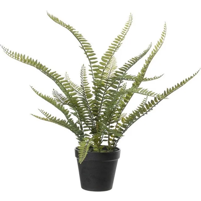 Louis Maes Varen Nephrolepis - Kunstplant - Groen - 50 cm