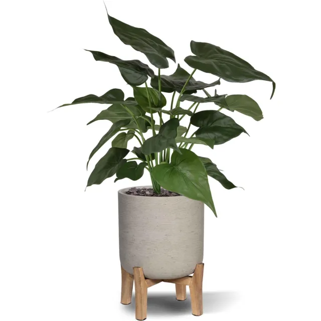 maxifleur Kunstplanten Alocasia Cucullata kunstplant 50cm Groen