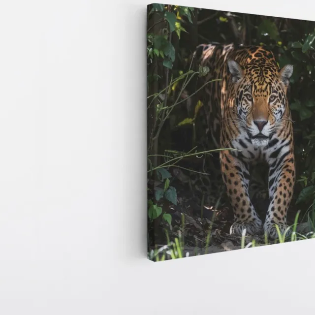 Saammp Canvas Schilderij - Luipaard tussen de struiken - Natuur - Dieren - 30x30 - Foto op canvas - Wanddecoratie - Muurdecoratie Woonkamer - Slaapkamer decoratie - Canvas Print Multicolor