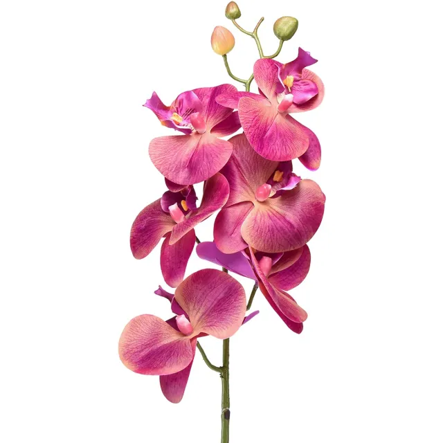 DPI GmbH Kunstorchidee Phalaenopsis Orchidee Fuchsia 78cm Roze