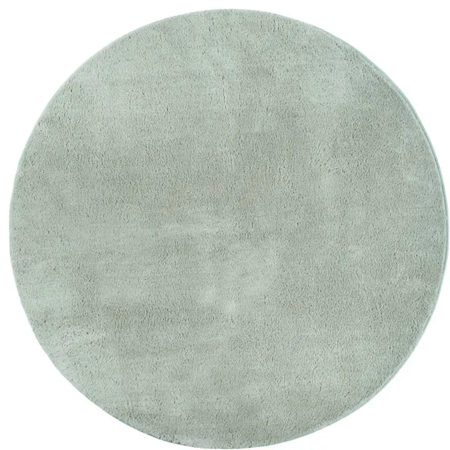 TapisTrend Harig tapijt Groen 200 cm rond Effen, wasbaar, antislip vloerkleed met een zachte pool van 19 mm voor de woonkamer, slaapkamer en eetkamer