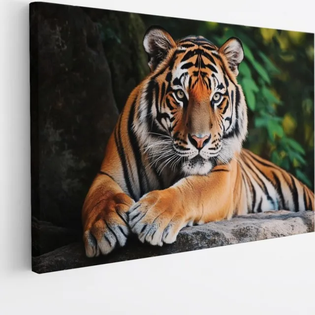 Saammp Canvas Schilderij - Tijger op Rots - Natuur - Dieren - 30x20 - Foto op canvas - Wanddecoratie - muurdecoratie Woonkamer - Slaapkamer decoratie - Canvas Print Multicolor