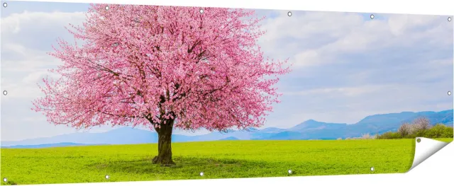 Gards Tuinposter Roze Sakura Bloesem Boom in het Groene Veld - 210x70 cm - Tuindoek - Tuindecoratie - Wanddecoratie buiten - Tuinschilderij Multikleur
