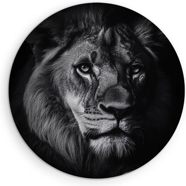 Saammp Forex Muurcirkel - Leeuwen portret - Zwart-Wit - Afrika - Dieren - Natuur - Ø 60 - Wandcirkel - Wanddecoratie Cirkel - Muurdecoratie Woonkamer - Slaapkamer decoratie - Rond Schilderij