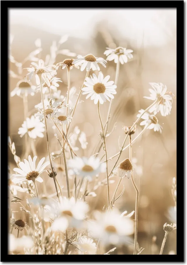 Plakkers Poster van witte margrietjes - 50cm x 70cm - vintage - woonkamer - slaapkamer - bloemen posters - goedkoop - muurposter - natuur - wanddecoratie Full-colour