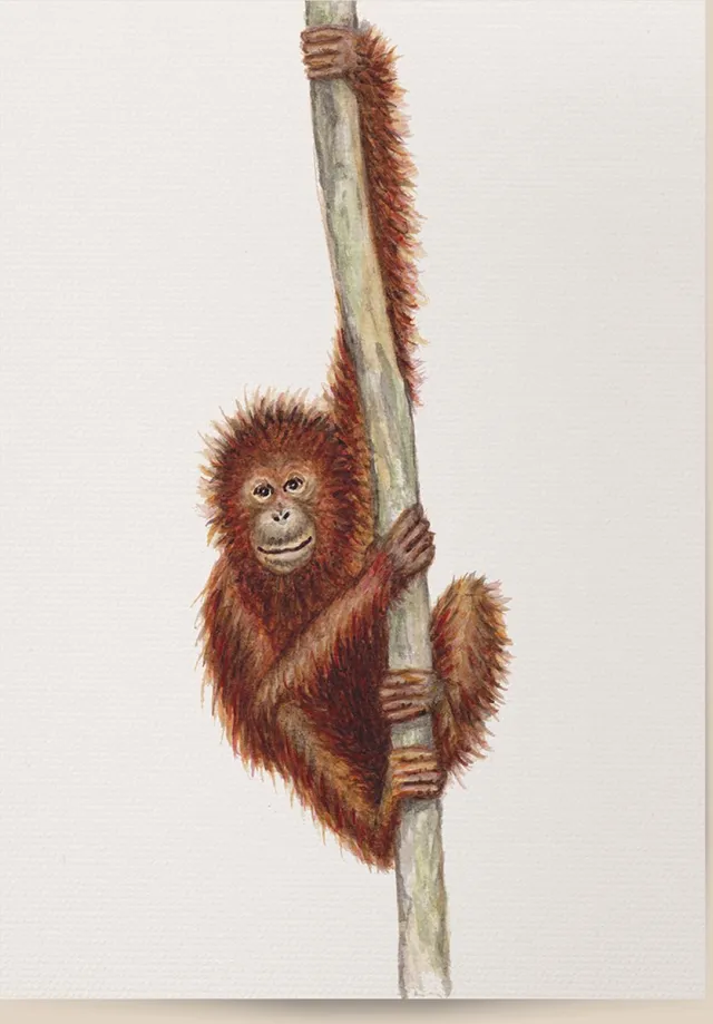 World of Mies poster aap - A4 - mooi dik papier - Snel verzonden! - tropisch - jungle - dieren in aquarel - geschilderd door Mies Aapje