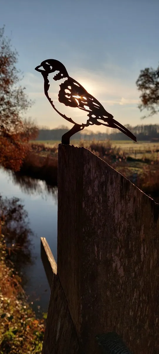 rusty friends metalendier - tuinbeeld - mus - vogel - cortenstaal - NL fabrikaat