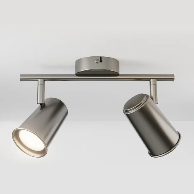 HOFTRONIC Riga LED Plafondspot 2 Lichts GU10 4000K Neutraal wit - RVS - Spotje - Opbouwspot L274mm - Modern - Plafondlamp Woonkamer, Slaapkamer, Gang, Keuken
