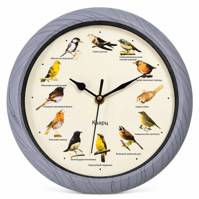 SWGOTA Grijze ronde wandklok met 12 vogelgeluiden - Diameter 25 cm - Russische wijzerplaat - Uursignaal met nachtelijke geluidspauze Grijs
