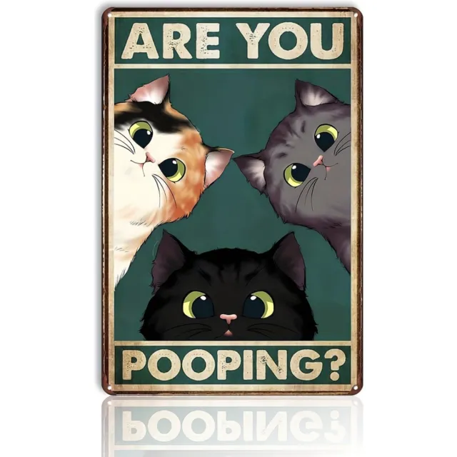 Nivard Are You Pooping Cat - Are You Pooping - Have A Nice Poop - Your Butt Napkins My Lord - Poster - Grappige Poster - 20x30cm Verschillend