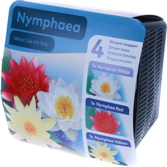 Moerings Droogverpakking Vijverplant Waterlelie Trio Waterlelie Mix