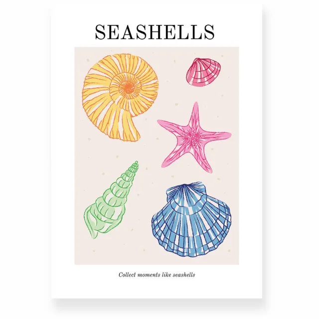 Yisual Aluminium plaat 20x30 cm - Poster - Seashells - Strand - Roze - Blauw - Minimalistisch - Boho - Muurdecoratie - Wanddecoratie