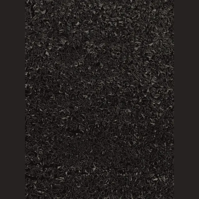 Ligne Pure Influence Vloerkleed/tapijt - Zwart - 60x120