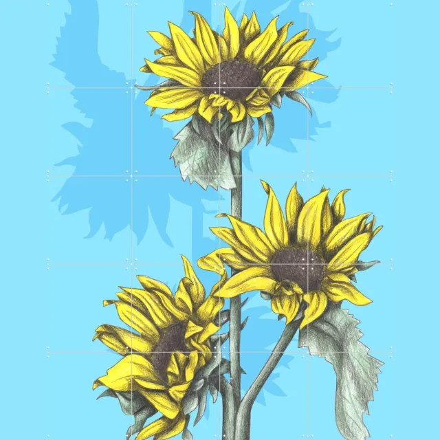 IXXI Sunflowers, Cecilia Battaini - 80 x 100 cm - Grote wanddecoratie en posters - Illustraties, Digitale Kunst, Tekeningen, Gang, Keuken, Eetkamer Geel / Blauw