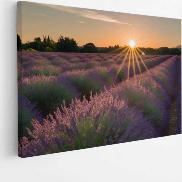 Saammp Canvas Schilderij - Lavendelveld tijdens zonsopgang - Natuur - Landschap - 60x40 - Foto op canvas - Wanddecoratie - Muurdecoratie Woonkamer - Slaapkamer decoratie - Canvas Print Multicolor