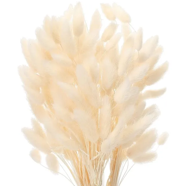 Ibenzoa 50 Pluizige Pampasgras Stokjes voor Boho Slaapkamer- en Badkamerdecoratie, Tafeldecoratie in Wit