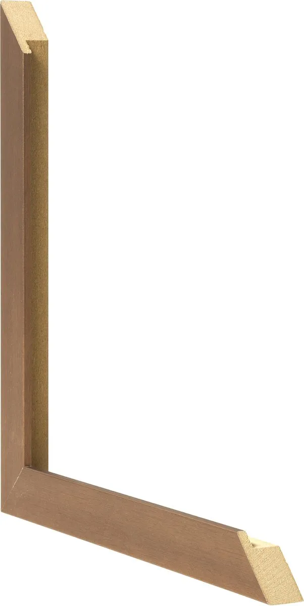 Dutch Frame Factory Fotolijst 37,5x98 cm - MDF - Koper Decor - Benno