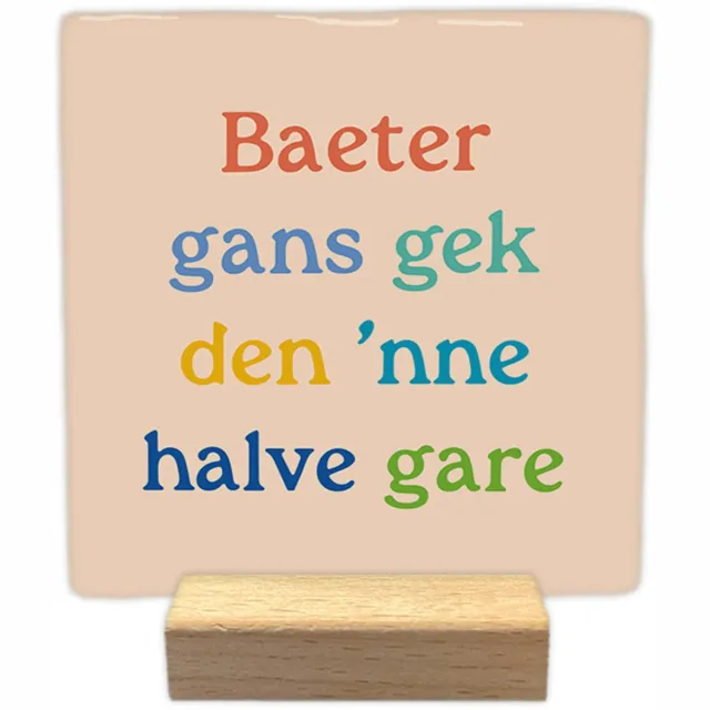 Artige Decoratie tegeltje met tekst - Baeter gans gek den 'nne halve gare - keramisch - 10x10 cm - inclusief houder Groen