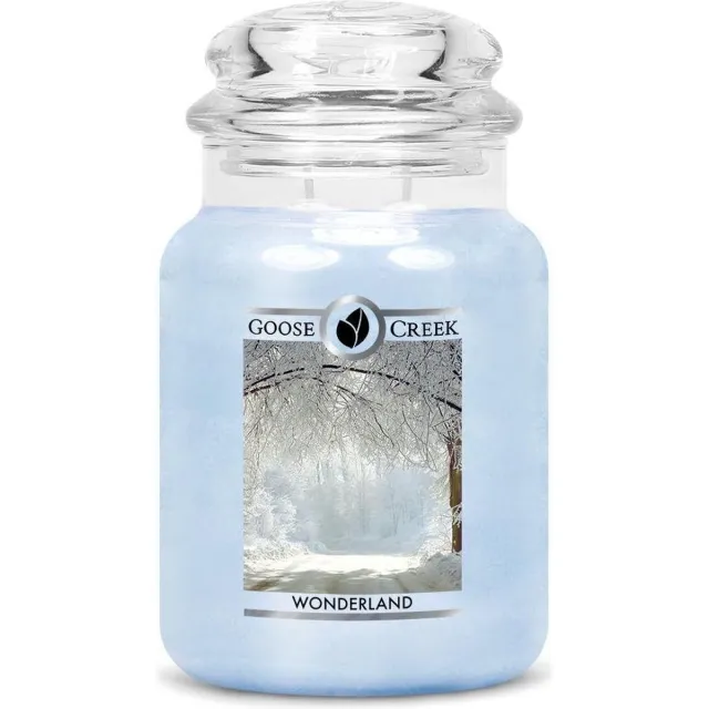 Goose Creek Candle Geurkaars Wonderland blauw