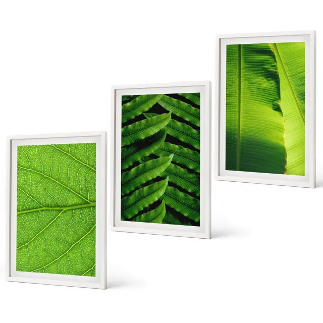 Coloray 3-Delige Schilderij Set - Close-Ups Van Tropische Bladeren - 40 x 60 - Schilderijen Set - Wanddecoratie - Woonkamer - Moderne Wanddecoratie Witte lijst
