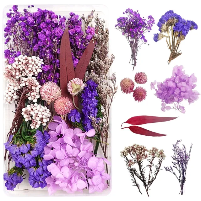 Famanu Mini droogbloemen set met 420 stuks voor knutselen en kunstprojecten