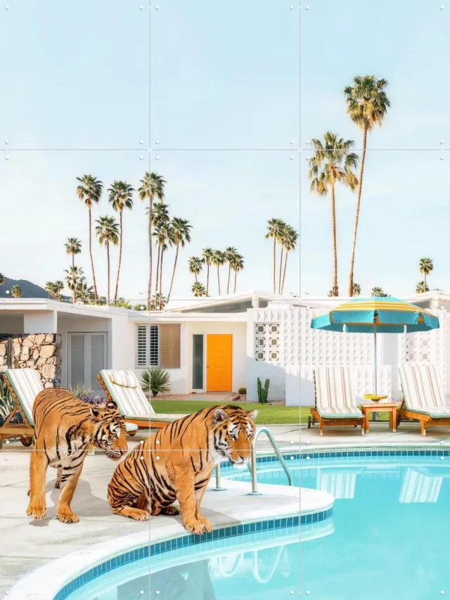 IXXI Tigers at the Pool, Paul Fuentes - 60 x 80 cm - Grote wanddecoratie en posters - Modern, Strandhuis, Woonkamer, Dieren, Palmbomen, Architectuur Blauw