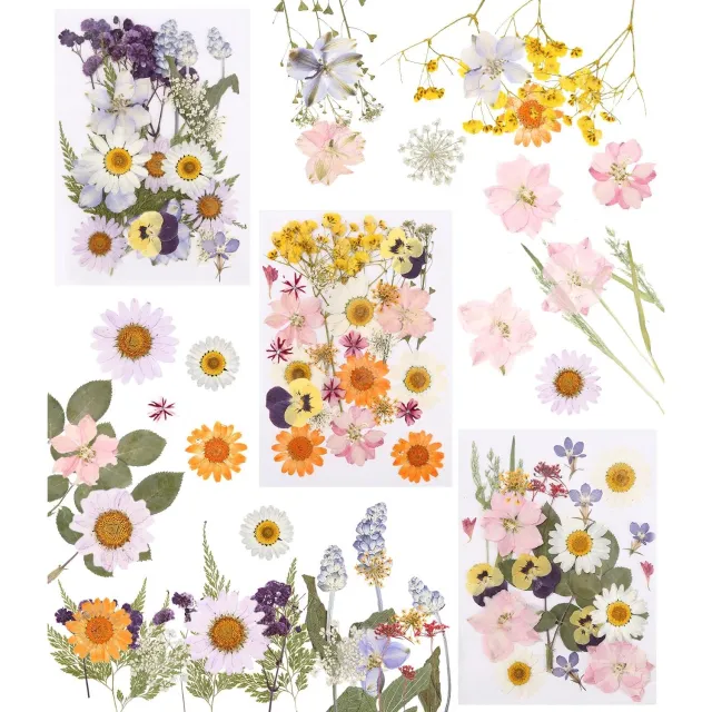 Famanu Geperste gedroogde bloemen set van 66 stuks voor knutselen en decoratie