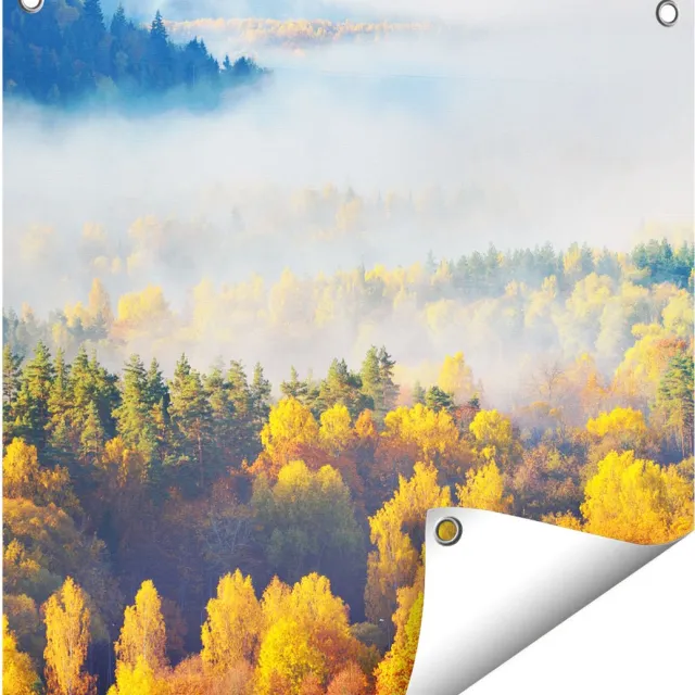 Gards Tuinposter Gekleurde Herfstbos met Mist - 50x50 cm - Tuindoek - Tuindecoratie - Wanddecoratie buiten - Tuinschilderij Multikleur