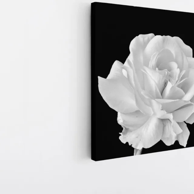 Saammp Canvas Schilderij - Witte Bloem - Natuur - 20x20 - Foto op canvas - Wanddecoratie - Muurdecoratie Woonkamer - Kantoor Decoratie Multicolor
