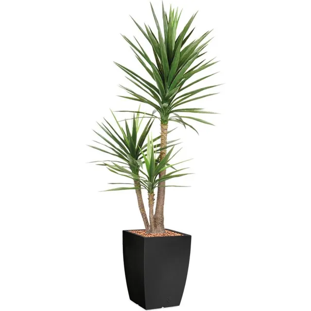 HTT Decorations HTT - Kunstplant Yucca in Genesis vierkant antraciet H200 cm Groen