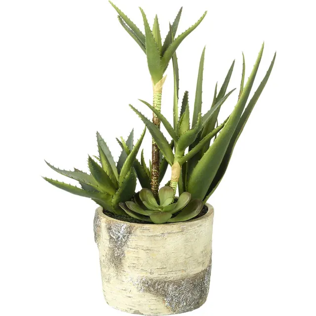 parlane Kunst Succulent mix in sierpot - 19 x 19 x 43 cm groen