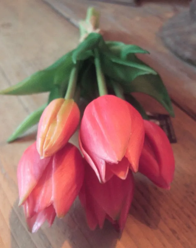 Barn12 Kunst tulpen pink 25 cm
