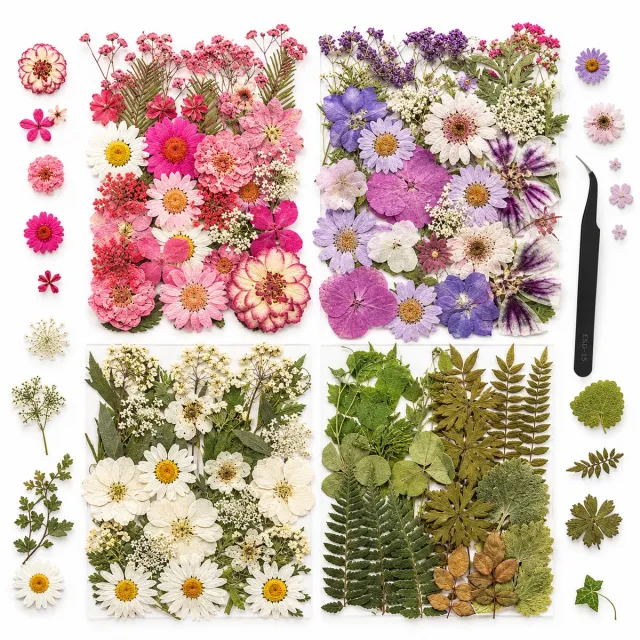 BOTC Natuurlijk Gedroogde Bloemen - Droogbloemen - 110+ stuks - voor Hars sieraden, Scrapbooking, Doe-het-zelf zeep, Kaarsen en nageldecoratie Kleurrijk 2 Paar