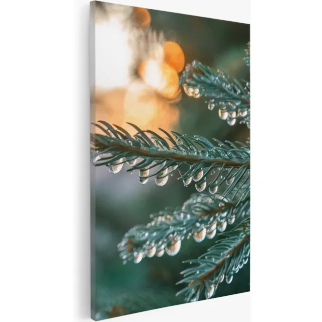 Saammp Canvas Schilderij - Natte pijnboom - Landschap - Natuur - 60x90 - Foto op canvas - Wanddecoratie - Muurdecoratie Woonkamer - Slaapkamer decoratie - Canvas Print Multicolor