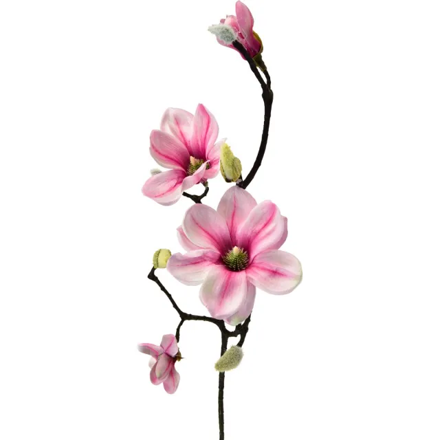 Viana Kunstbloem Magnolia Tak Magnolia Kunstmatig Roze 59cm 3st