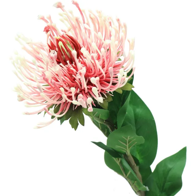 Viana Protea Kunstroze 73cm