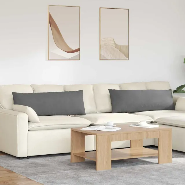 vidaXL Sofa Kussens 2 st Microvezel Stof Donkergrijs 120 x 40 cm