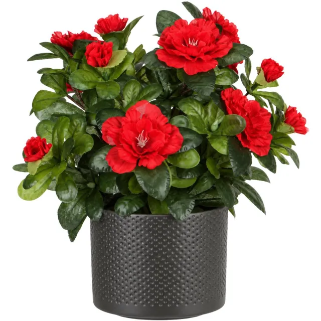 Mica Decorations Kunstplant - Azalea rood - H27 cm - in antraciet bloempot - keramiek - complete set van pot en plant - decoratie stuk